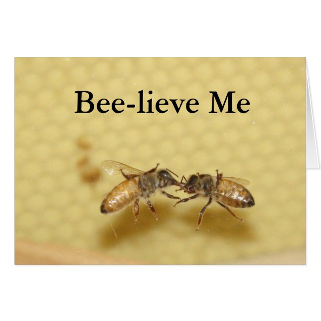 Você é meu cartão de Querido Mel (Frente Horizontal)