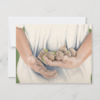 Você é meu tesouro