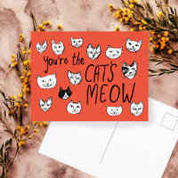 VOCÊ É O MÁXIMO Gatinhos Fofos Cartão Postal
