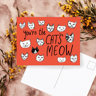 VOCÊ É O MÁXIMO Gatinhos Fofos  Cartão Postal