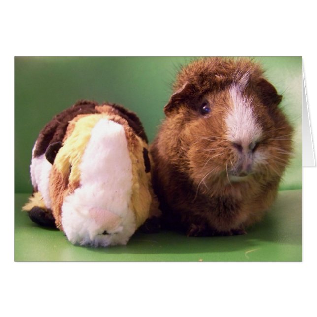 Você é o verdadeiro cartão (Frente Horizontal)