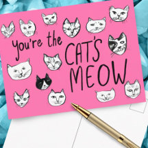 VOCÊ É O XODÓ! Gatinhos Fofos Cartão Postal