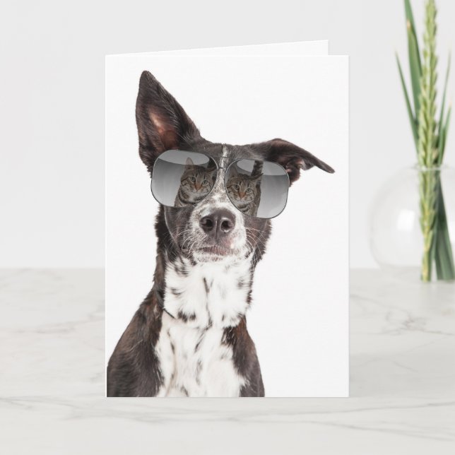 Você é um Cartão de Amizade de Gato Legal (Frente)