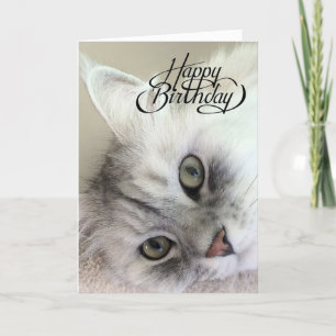 Você é um Cartão de Aniversário Meowvelous