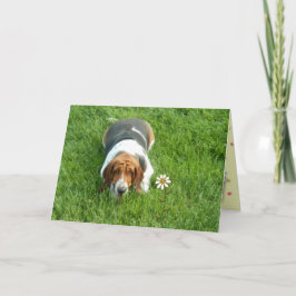 "Você É Um Em Um Milhão" - Um Cartão Só Porque