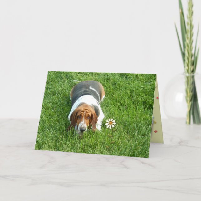 "Você É Um Em Um Milhão" - Um Cartão Só Porque (Frente)