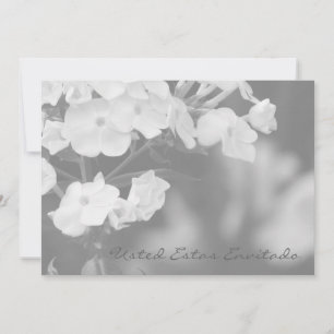 Você está convidado