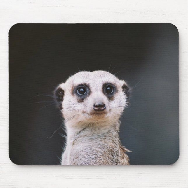 Você está olhando-me?  Meerkat Mousepad (Frente)