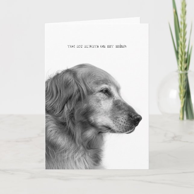 Você está sempre no meu cartão (Frente)