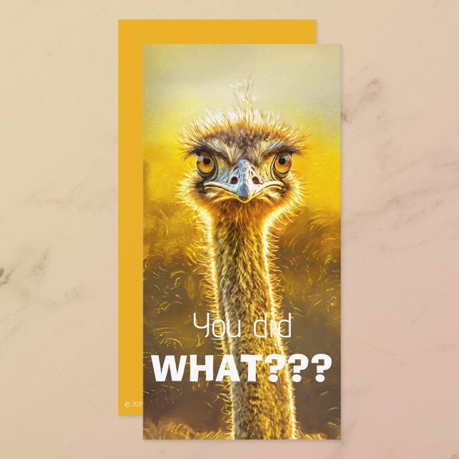 Você Fez O quê? (Criador carregado)