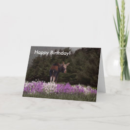 Você foi apunhalado por um alce! Cartão de Anivers