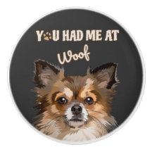 Você Me Teve No Meio | Pomeranianos De Cães