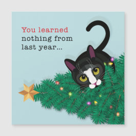 Você não aprendeu nada no ano passado!