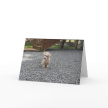 Você não é cartão sozinho