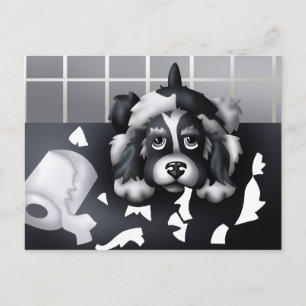 Você não pode provar nada: Cartão Postal