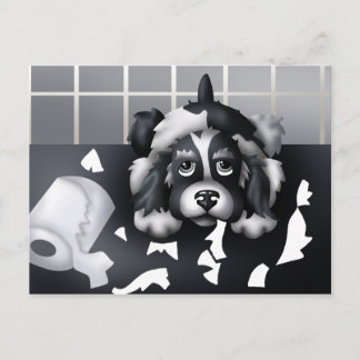 Você não pode provar nada: Cartão Postal