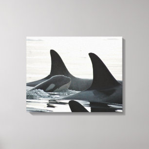 Você nunca nadará canvas sozinhas