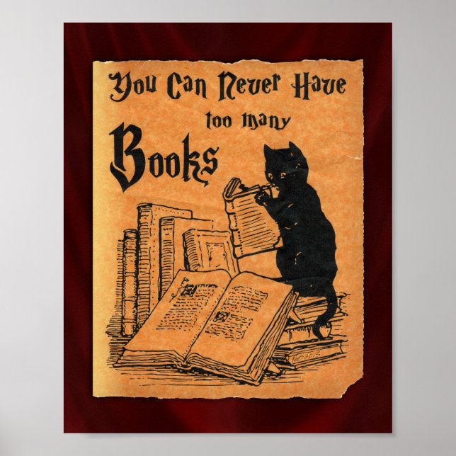 Você Nunca Pode Ter Muitos Livros, Cat Poster (Frente)