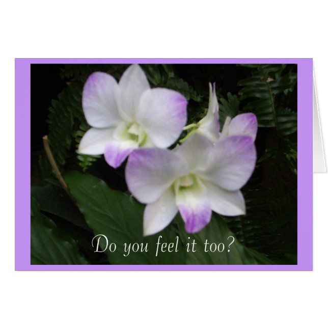 Você Também Sente? Cartão (Frente horizontal)