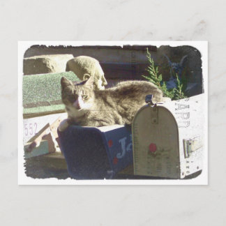 Você tem cartão postal de correio