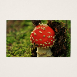Voe Agaric