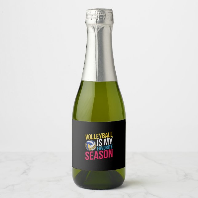 Voleibol É Minha Época Favorita (Frente)