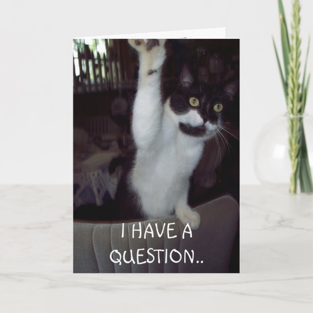 Volte logo com o cartão (Frente)