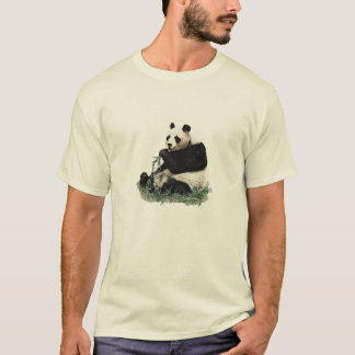 VÔO DA CAMISA FOTC DA PANDA BRET DO CONCHORDS