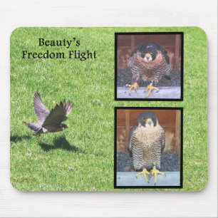 Vôo Mousepad da liberdade da beleza