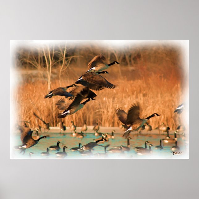 VOOS DE IMPRESSÃO RICO (Frente)