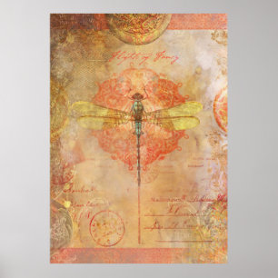 Vôos do poster do rico