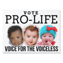 Vote Voz Pró-Vida para o Sinal de Alarme Sem Voz