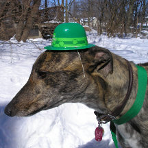 "Vou Correr contigo!" Cartão