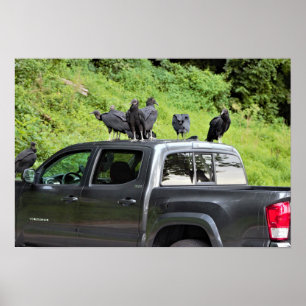 Vulcões em um Caminhão Poster