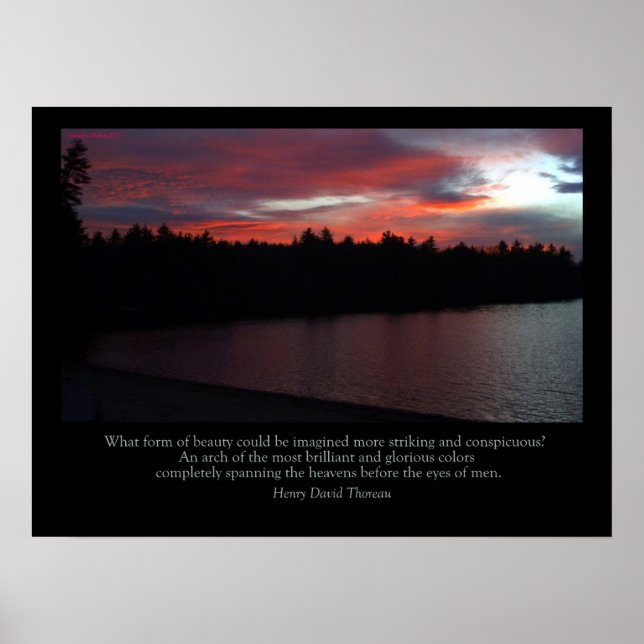 Walden Pond Poster - Nota de Amor ao Céu (Frente)