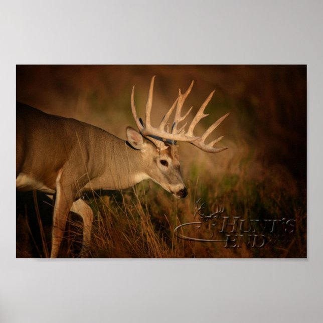 Walking Buck Poster (Frente)