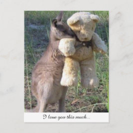 Wallaby abraçando o cartão postal do teddybear te 