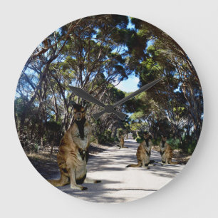 Wallaby Australiano Em Estrada, Relógio Grande
