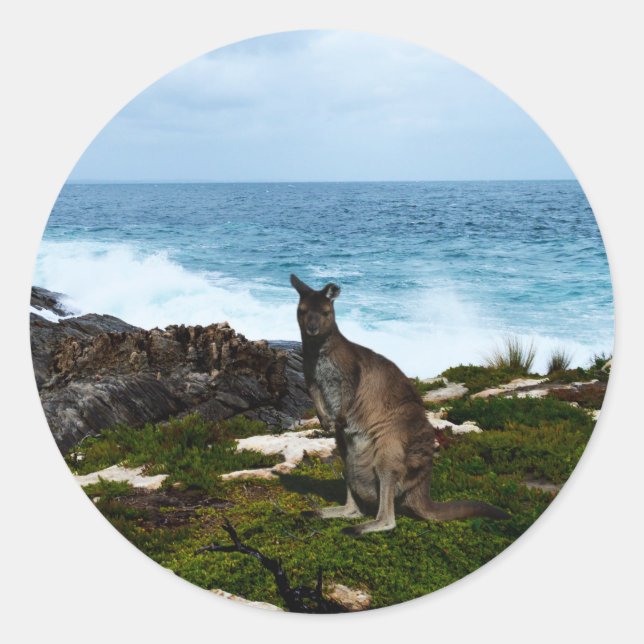Wallaby Em Rochas Ao Lado, Adesivos Redondos (Frente)