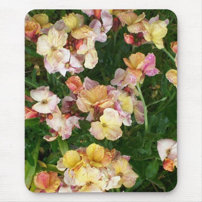 Wallflower Mousepad (Frente)