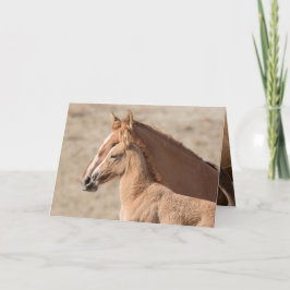 Wanda, o Cartão de Saudação de Cavalo Selvagem