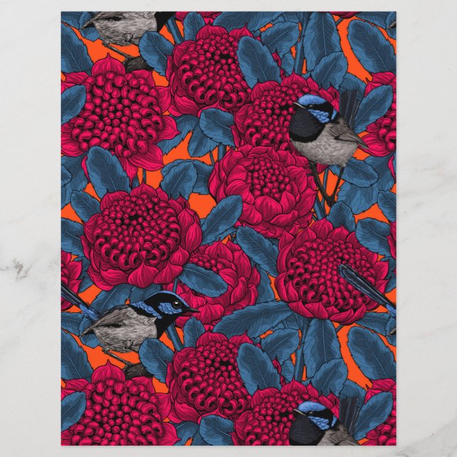 Waratah Vermelho e forras-de-fada (Frente)