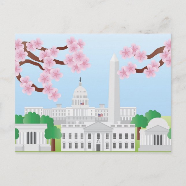 Washington DC com cartão postal Cherry Blossoms (Frente)