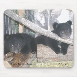 Washington junta Mousepad 2009
