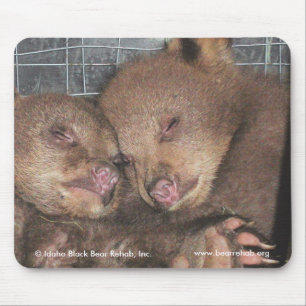 Washington junta Mousepad 2010