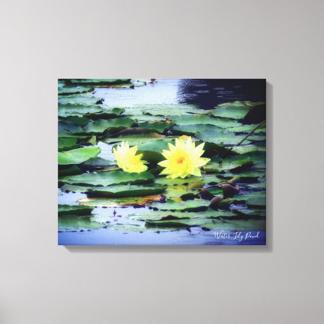 Water Lily Pond：Premium Canvas (Frente)