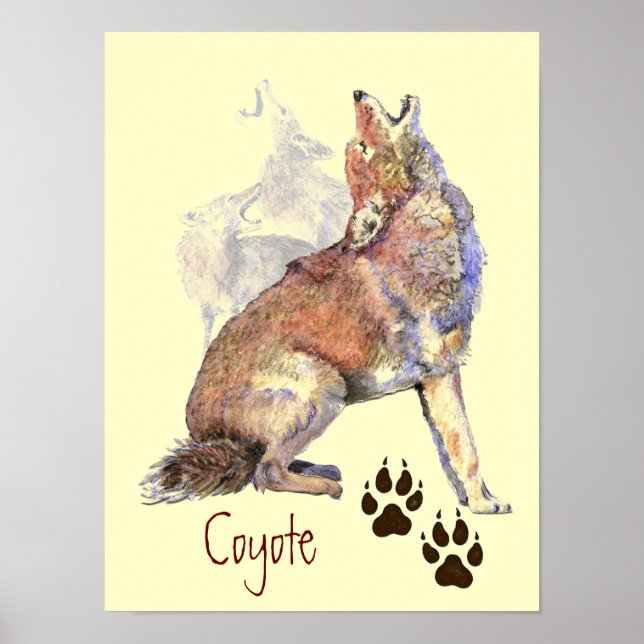 Watercolor Howling Coyote Poster (Frente)