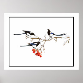 Watercolor Magpie Birds Nature Art Poster