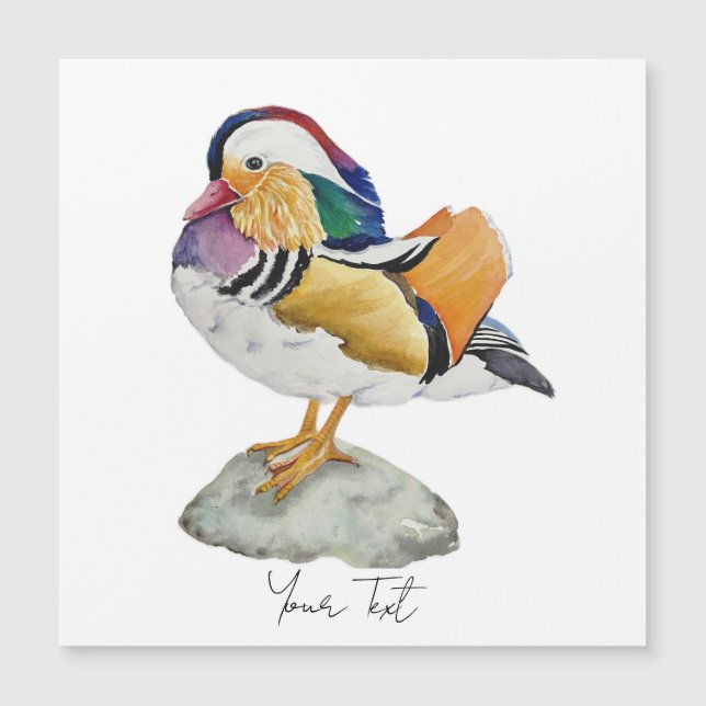 Watercolor Mandarin Duck (Frente)