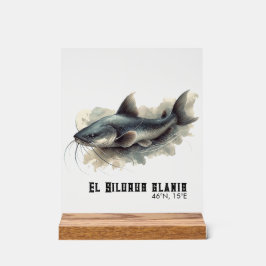 Watercolor Series: Catfish